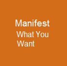 Manifet What You Want