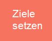 Ziele setzen